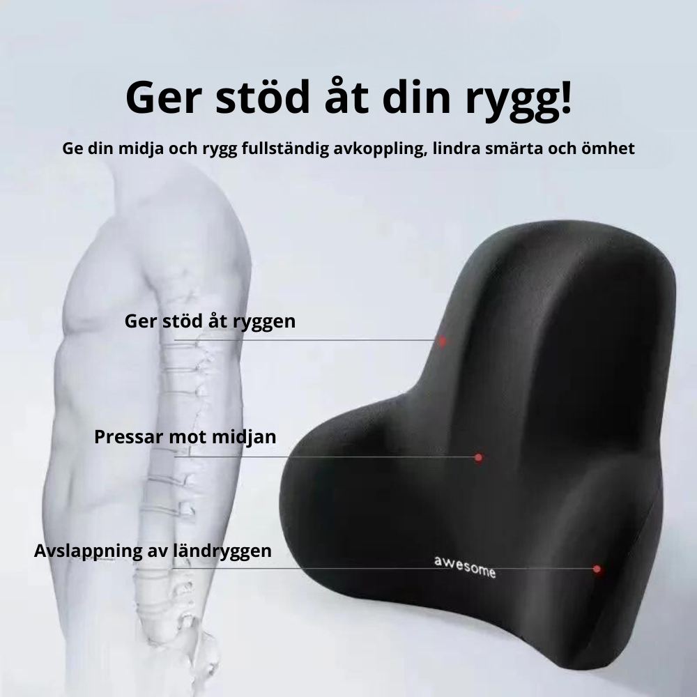 Starloop ryggstödskudde™